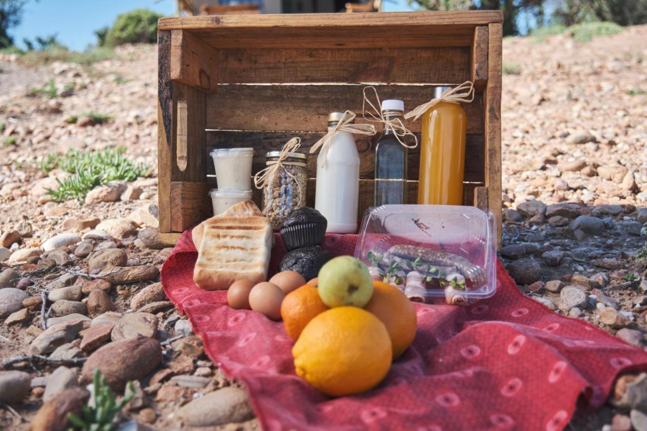 Africamps Klein Karoo Βίλα Oudtshoorn Εξωτερικό φωτογραφία